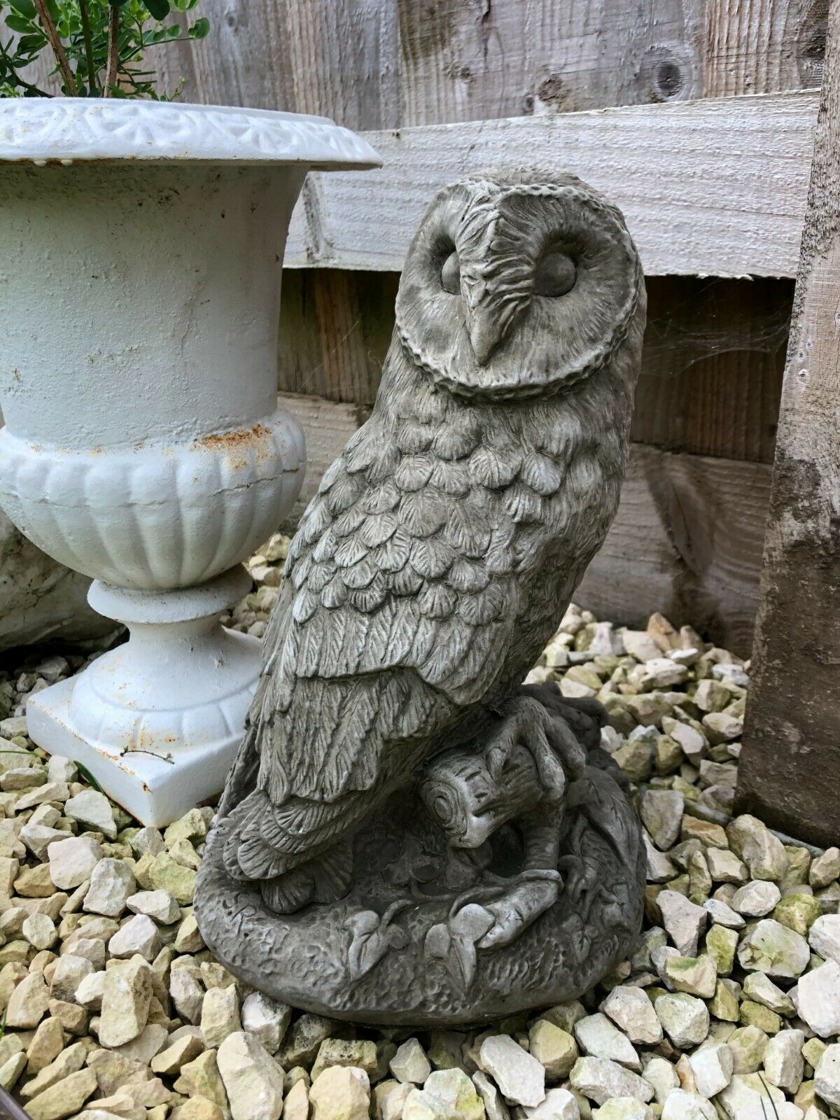 A barn owl with intricate feathers with head turned over one should with a curious look. Situated amongst the flower pots of a british garden