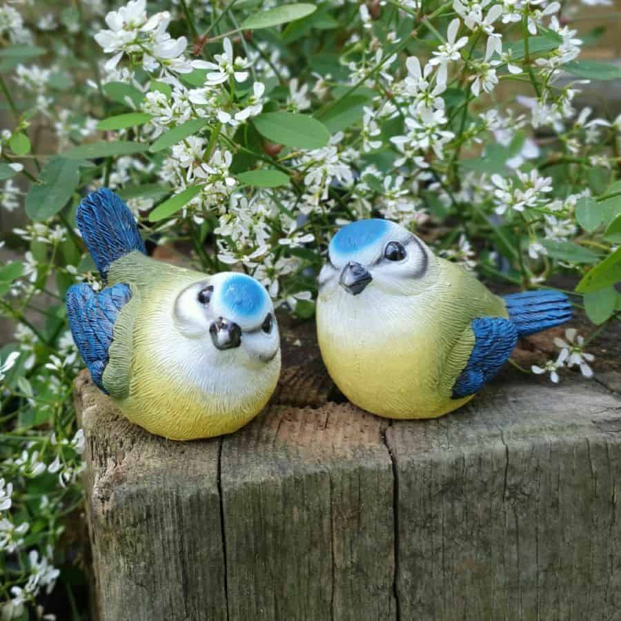 Two little blue-tits of vivid colour. Situated on the wooden log of a British garden with green and white flora in the background