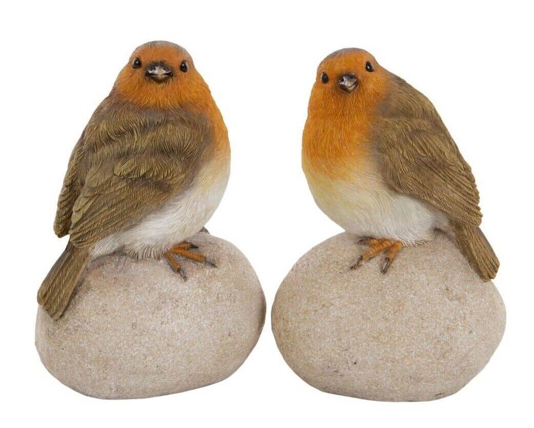 A pair of little robins with quizzical expressions and red breasts. Perched upon two stones, situated on a white studio background