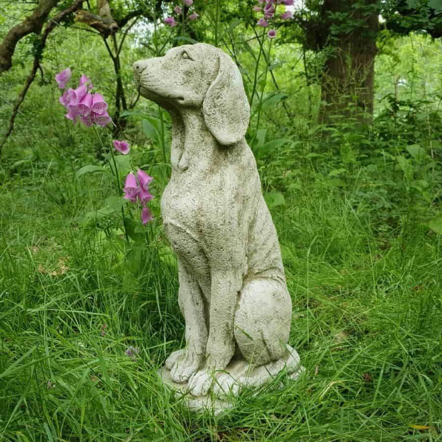 A large hound with floppy ears sitting amongst the grass and flora of a British forest