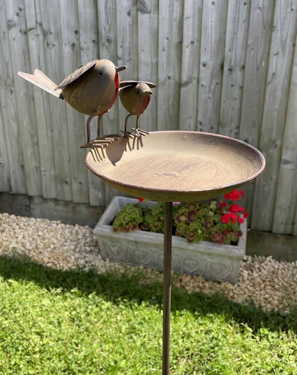 A large and small robin on a metal birdbath stuck in the grass of a British garden