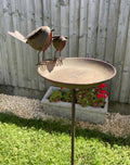 A large and small robin on a metal birdbath stuck in the grass of a British garden