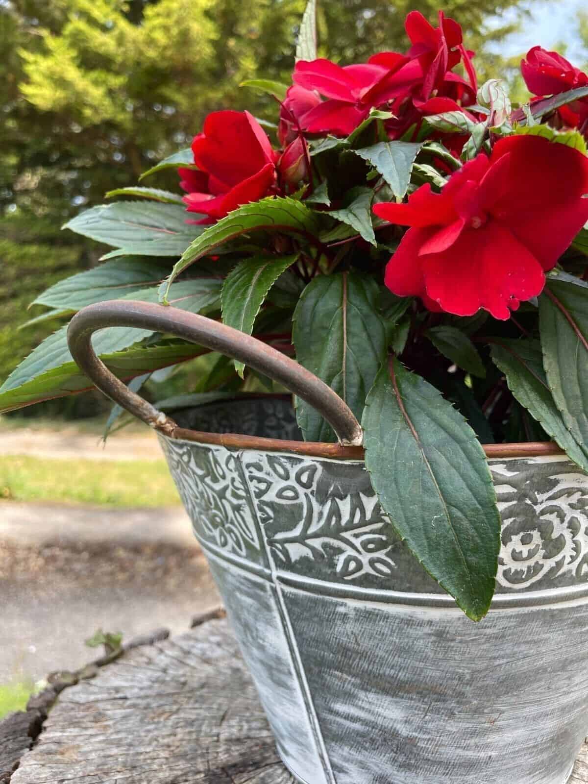Galvanised Metal Flower Pot with Handles