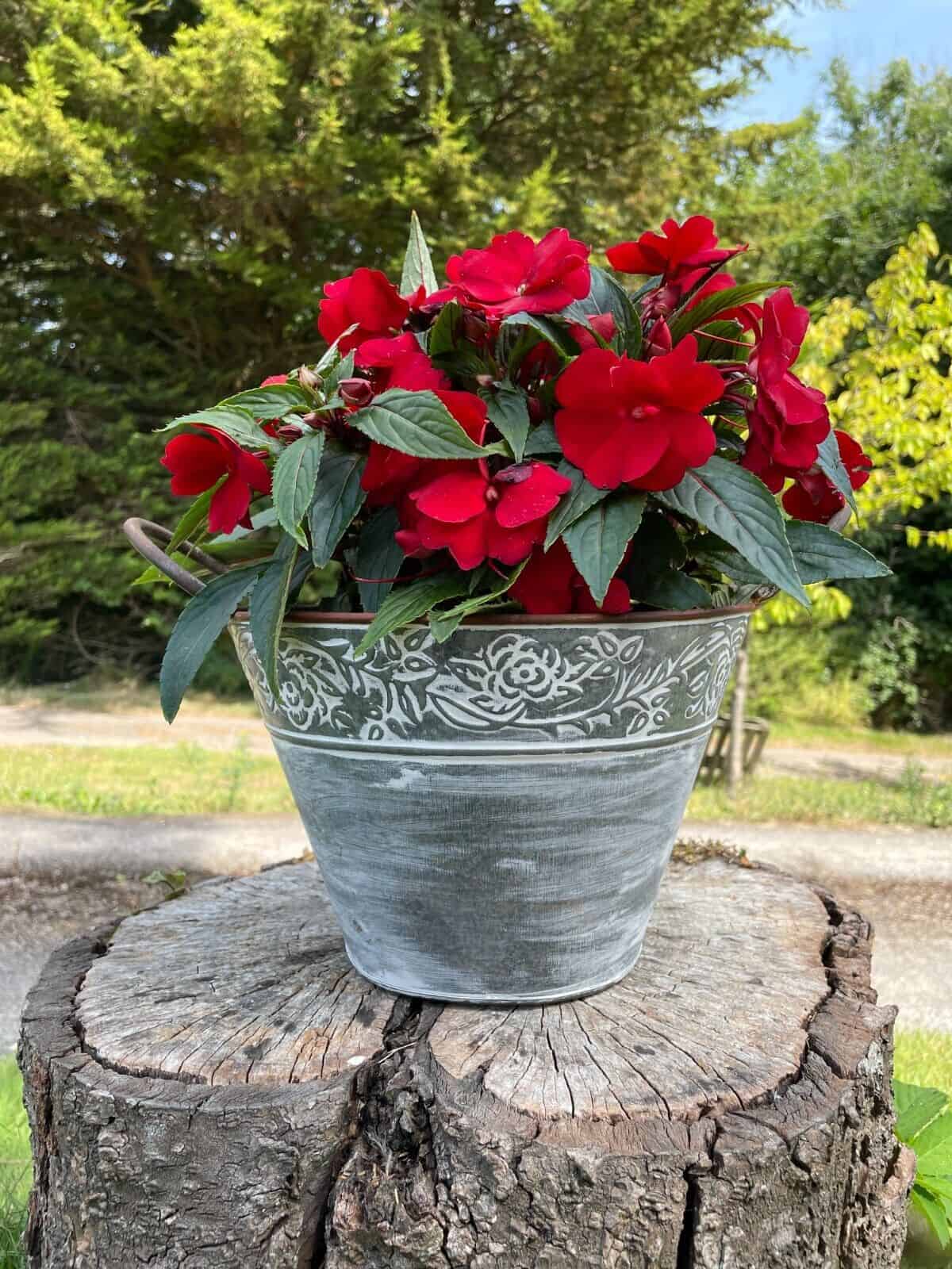 Galvanised Metal Flower Pot with Handles