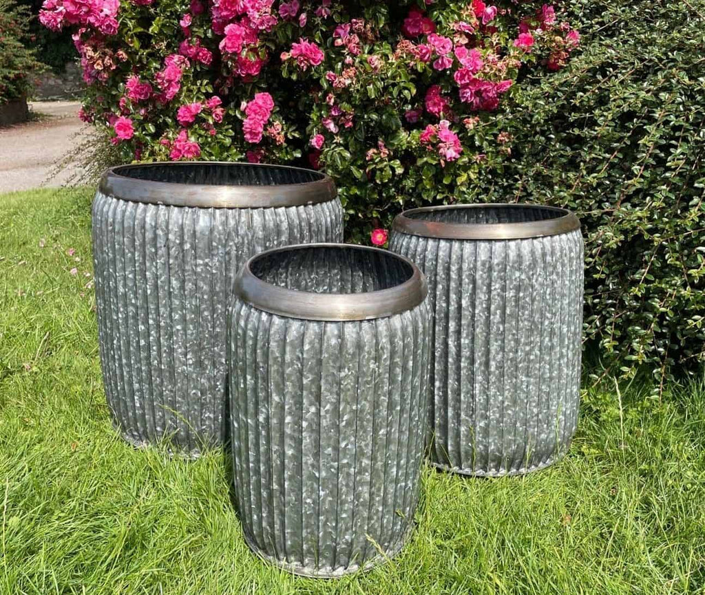 A small, medium and large dolly tubs in silver finish with brass style rims. Situated on the grass in a british garden