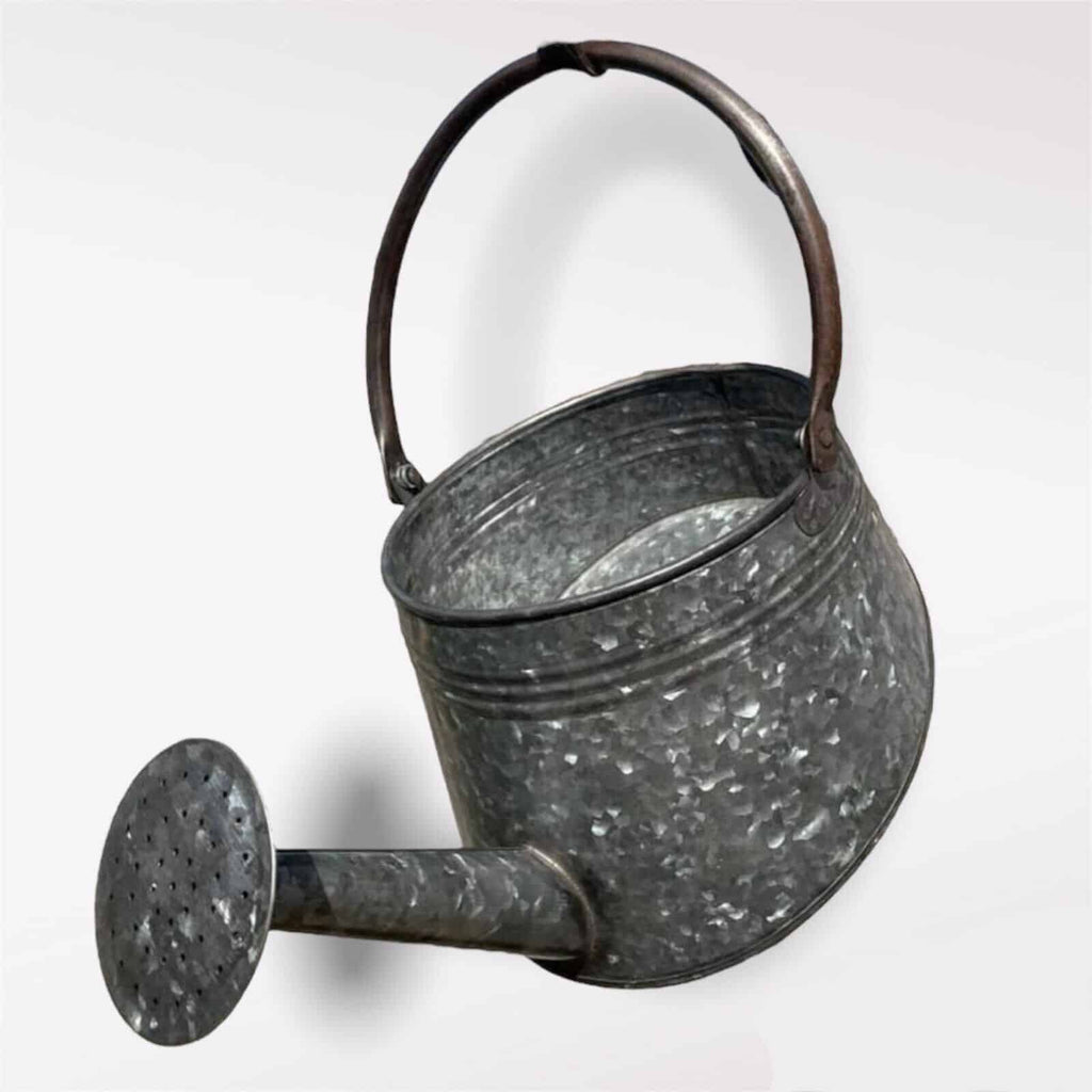 Galvanised Watering Can Hanging Wall Planter