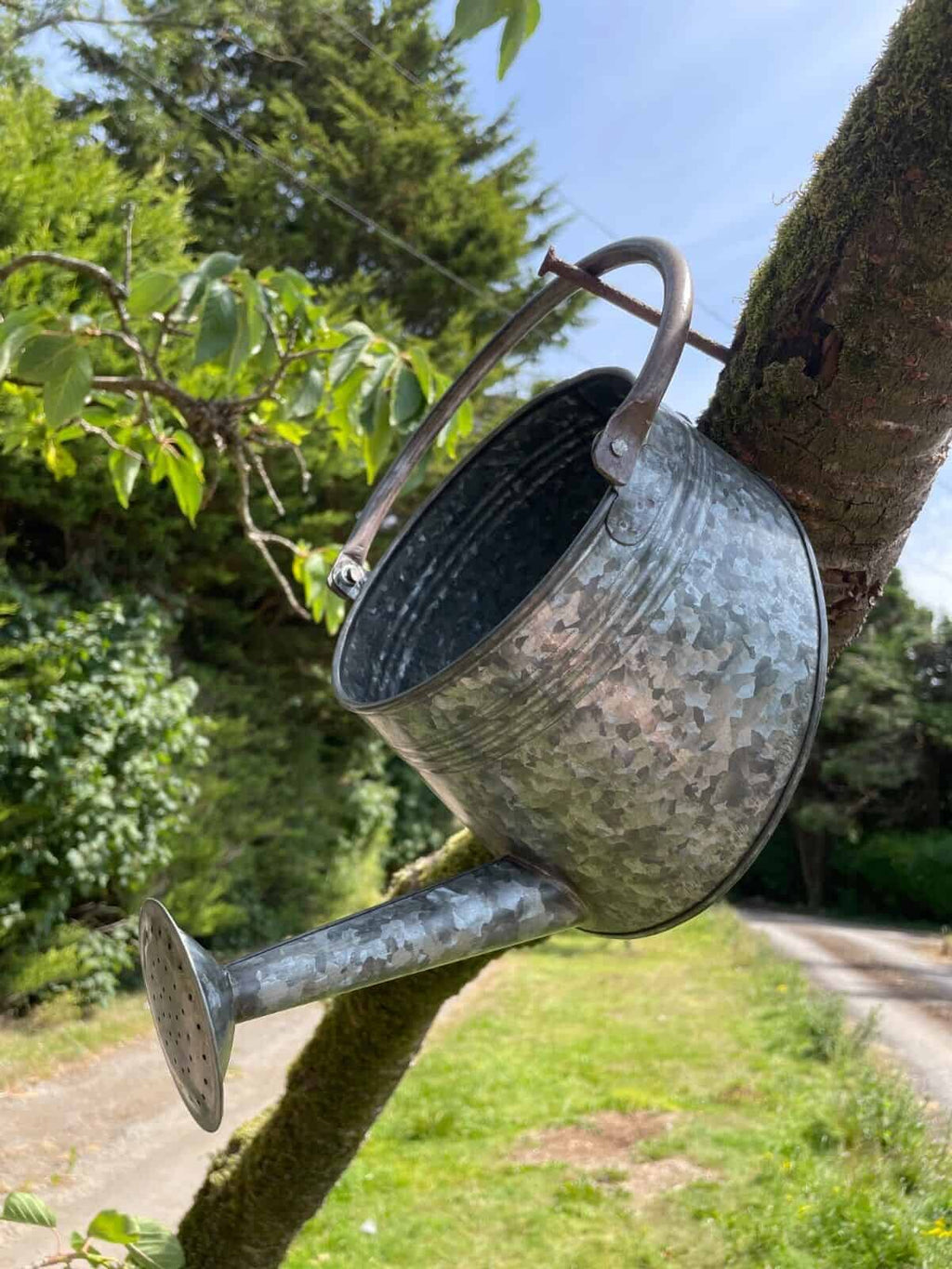 Galvanised Watering Can Hanging Wall Planter