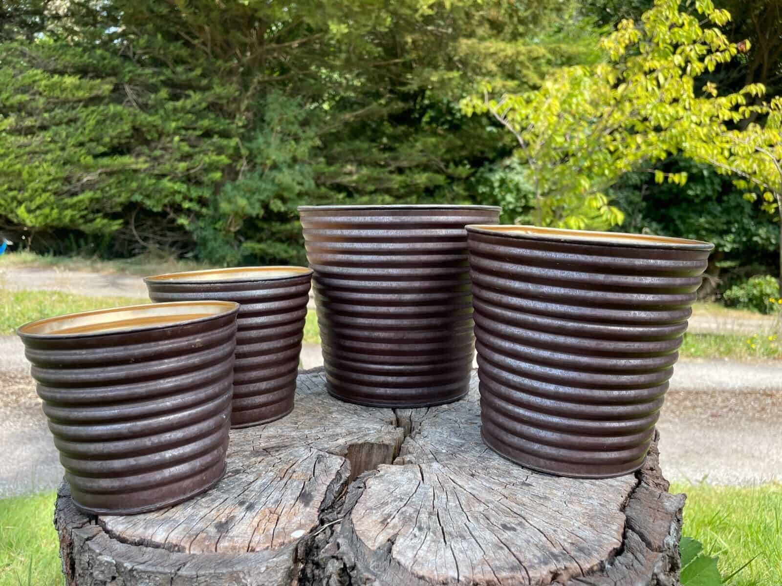 4 ribbed pots of medium size in bronze finish. Situated on a tree stump in a British garden