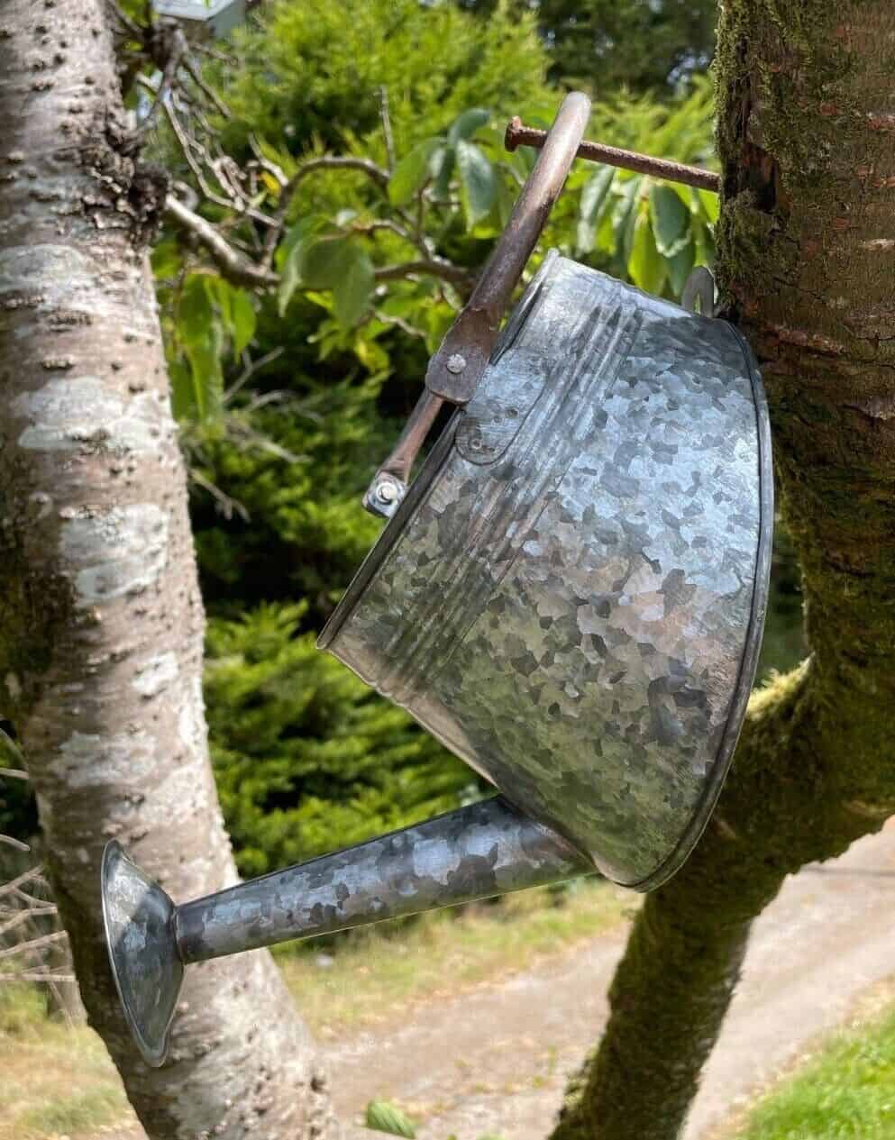 Galvanised Watering Can Hanging Wall Planter