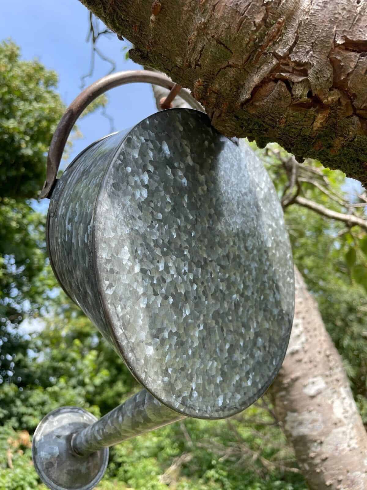 Galvanised Watering Can Hanging Wall Planter