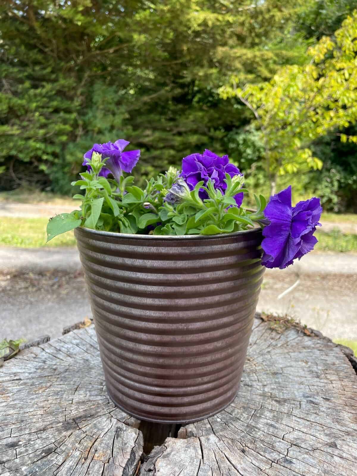 Set of 4 Galvanised Flower Pots