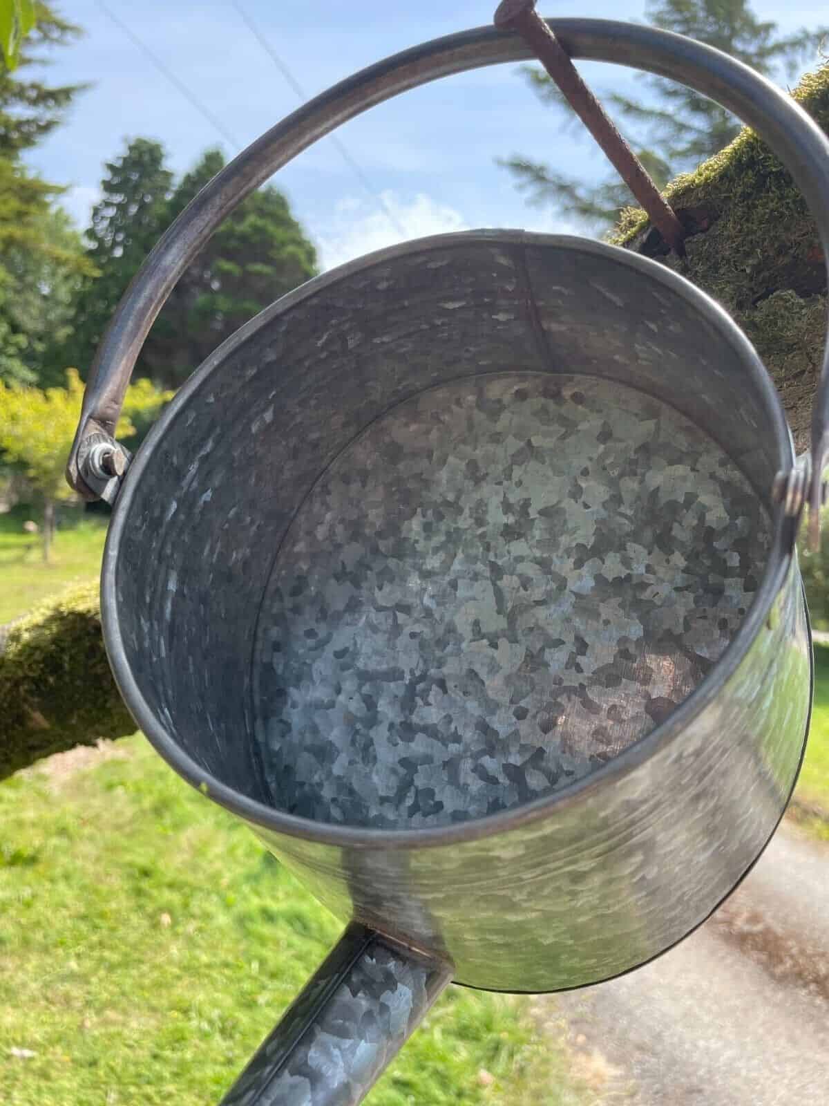 Galvanised Watering Can Hanging Wall Planter