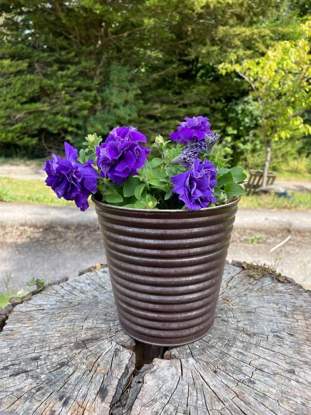 Set of 4 Galvanised Flower Pots