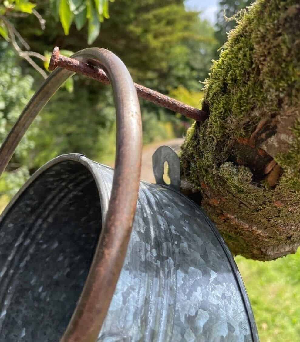 Galvanised Watering Can Hanging Wall Planter