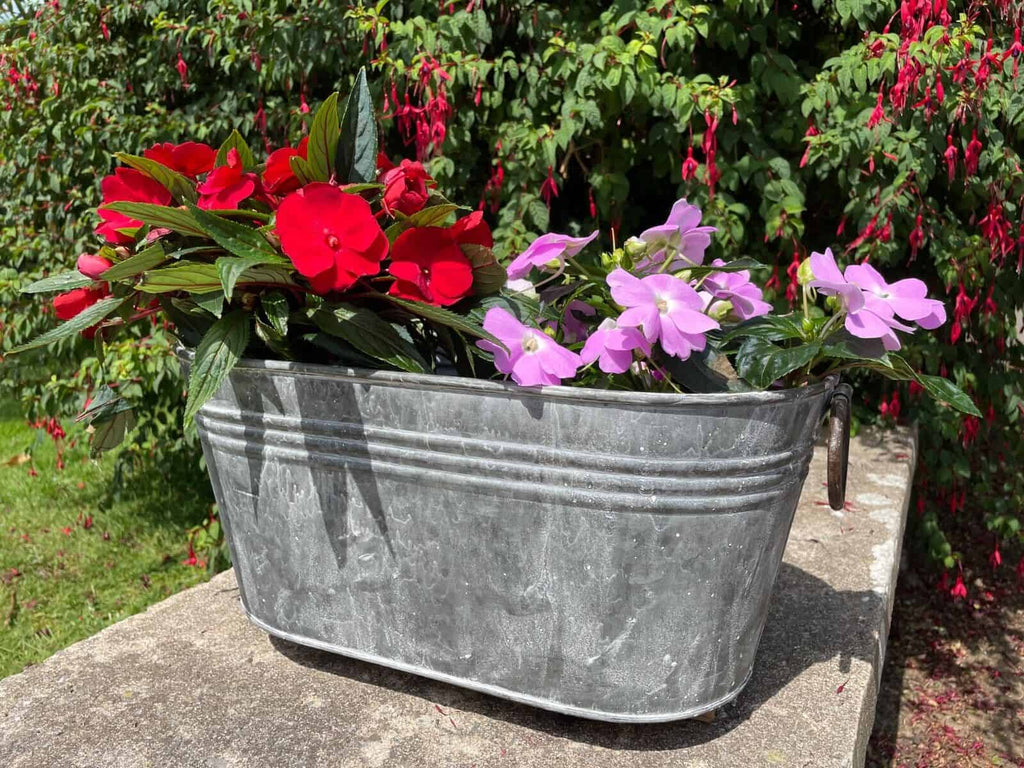 Galvanised Oval Trough with Handles