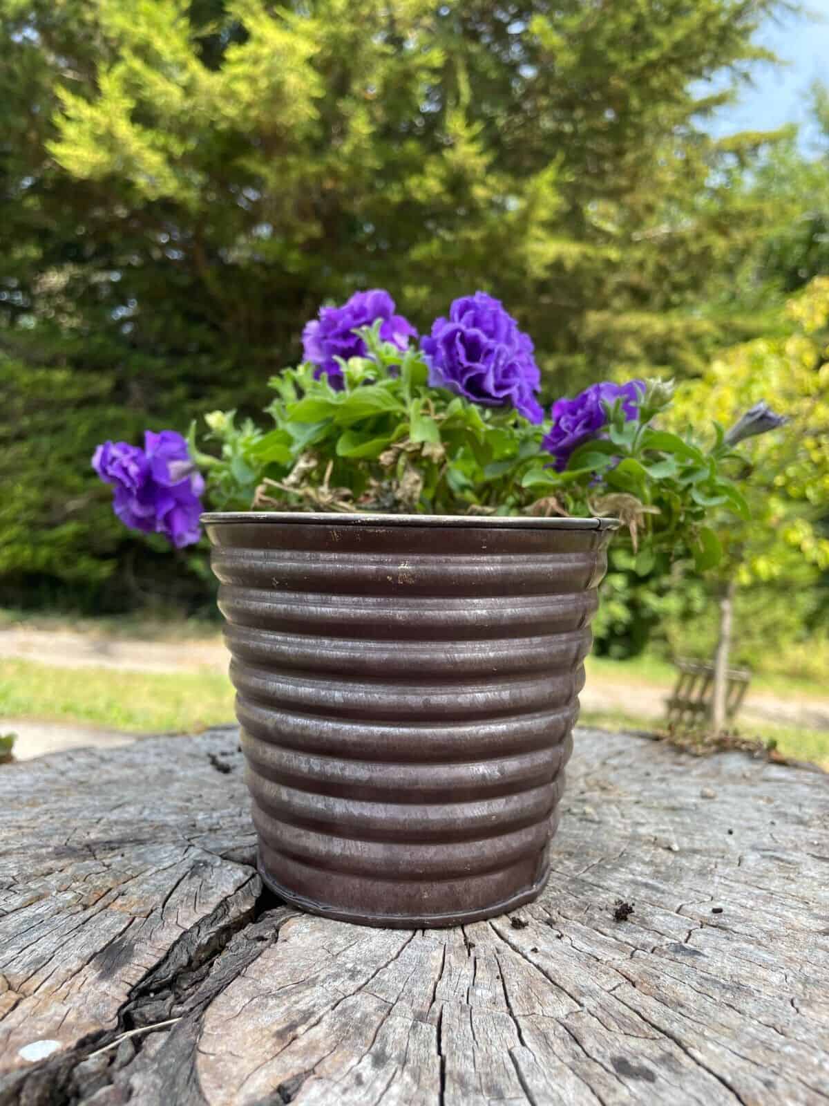 Set of 4 Galvanised Flower Pots
