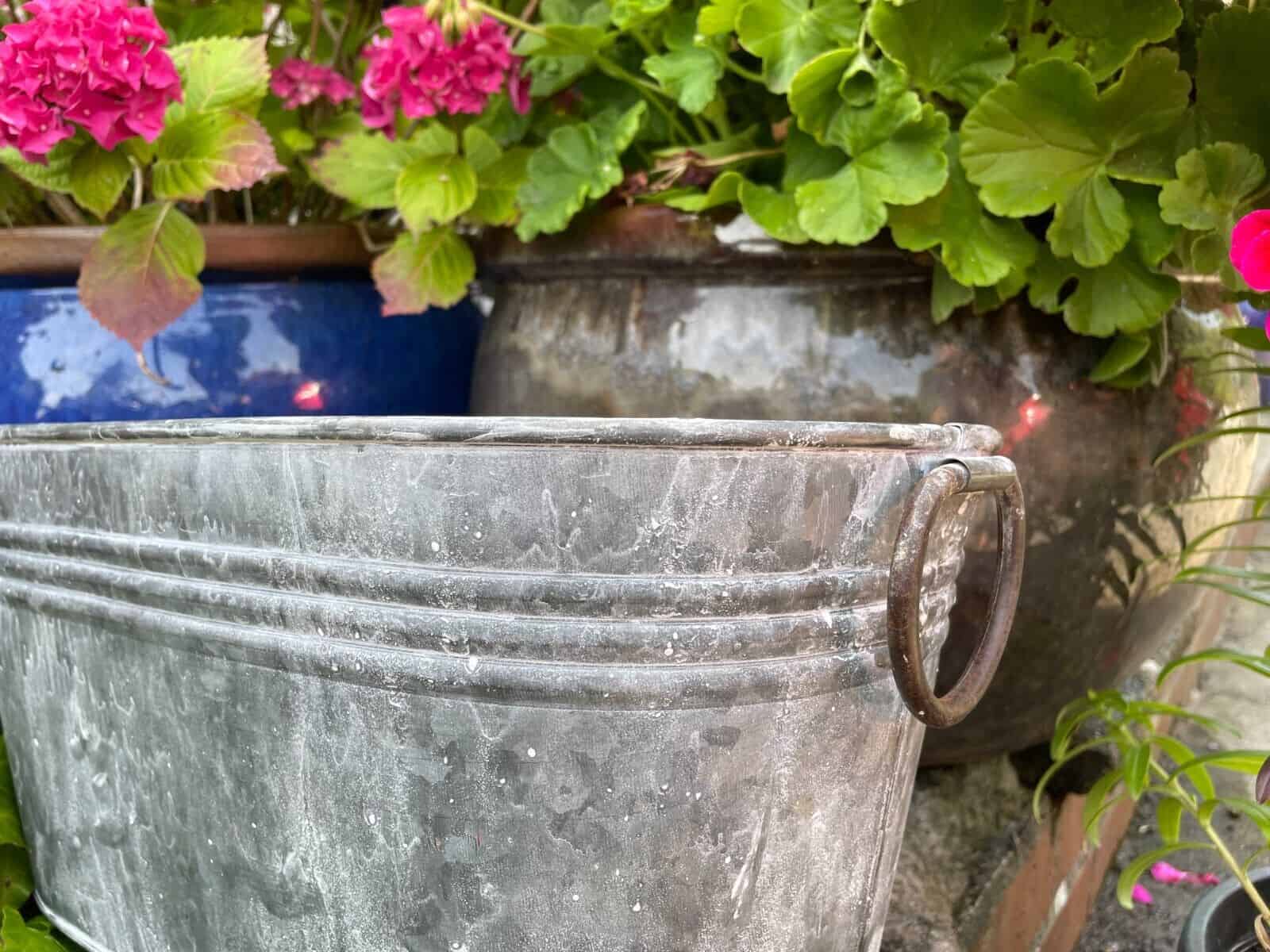Galvanised Oval Trough with Handles