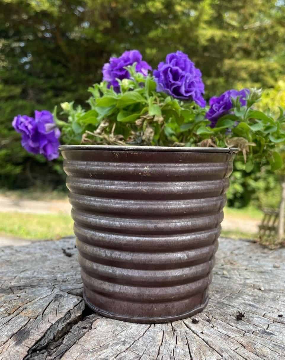 Set of 4 Galvanised Flower Pots