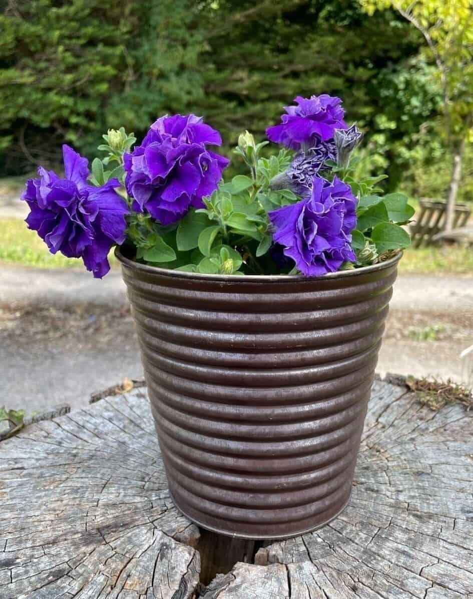 Set of 4 Galvanised Flower Pots