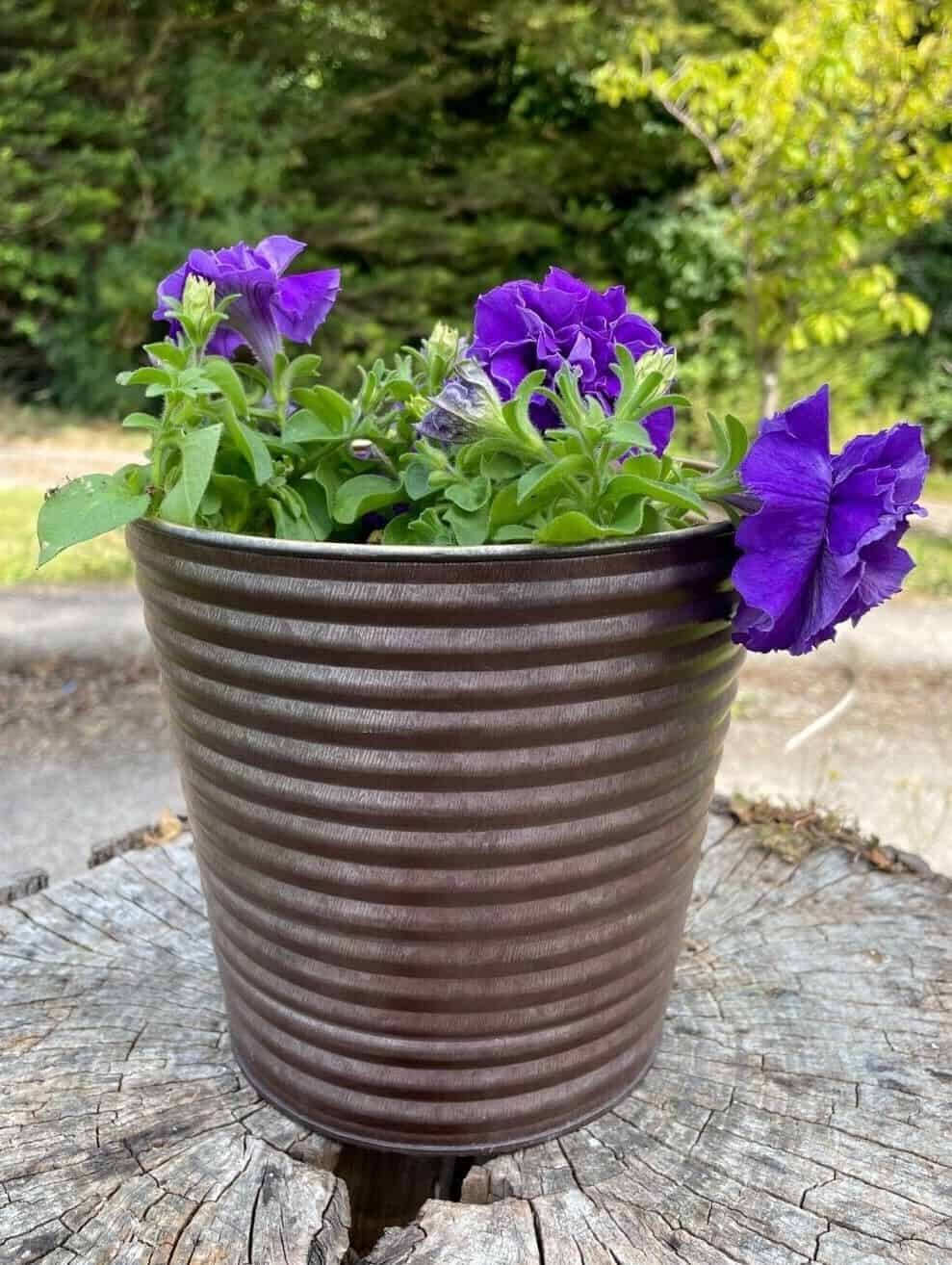 Set of 4 Galvanised Flower Pots