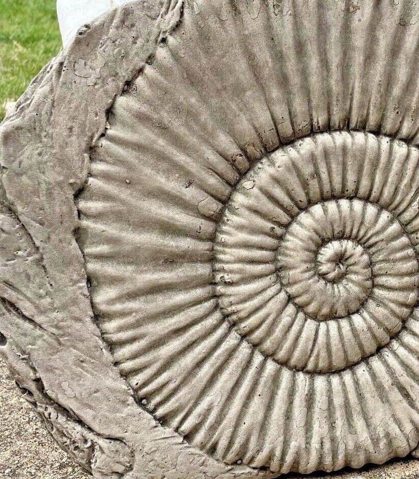 Ammonite Fossil Stone Statue