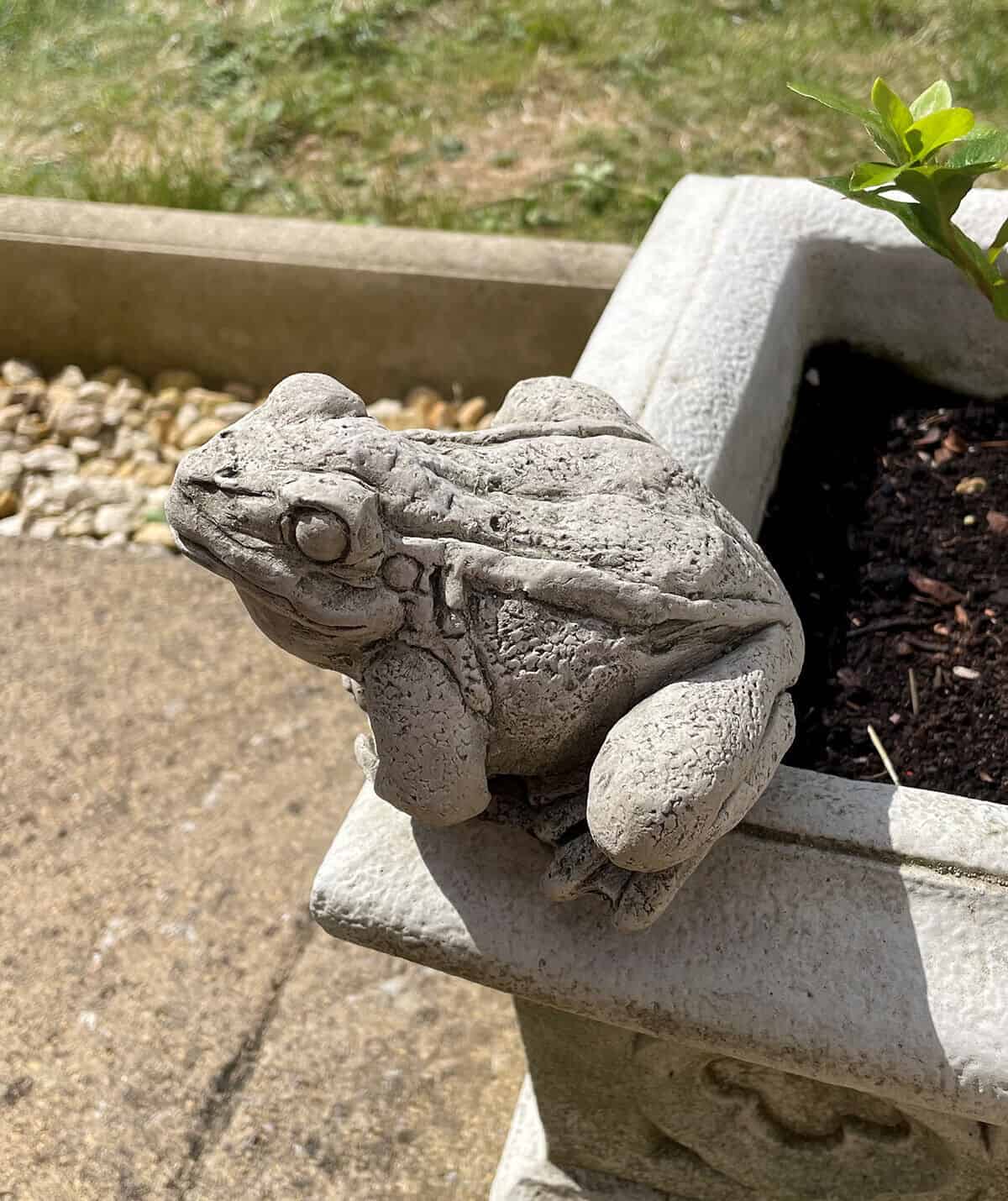 Frog Stone Garden Statue