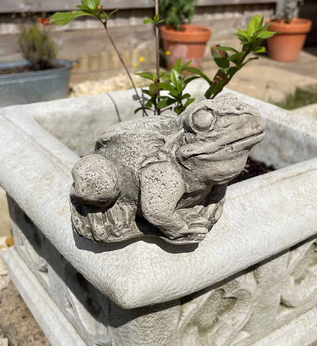 Frog Stone Garden Statue
