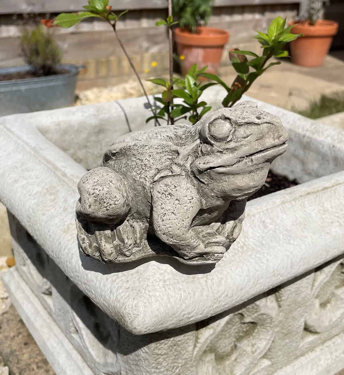 Frog Stone Garden Statue