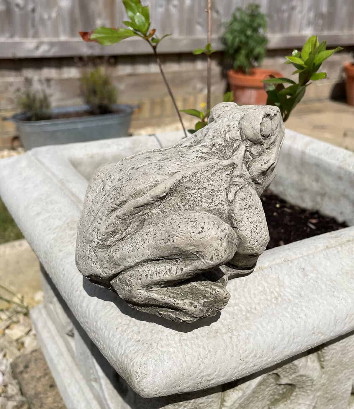 Frog Stone Garden Statue