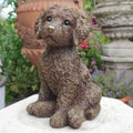 A puppy dog with adorable eyes gazing lovingly. Situated in a British garden with flower pots in background