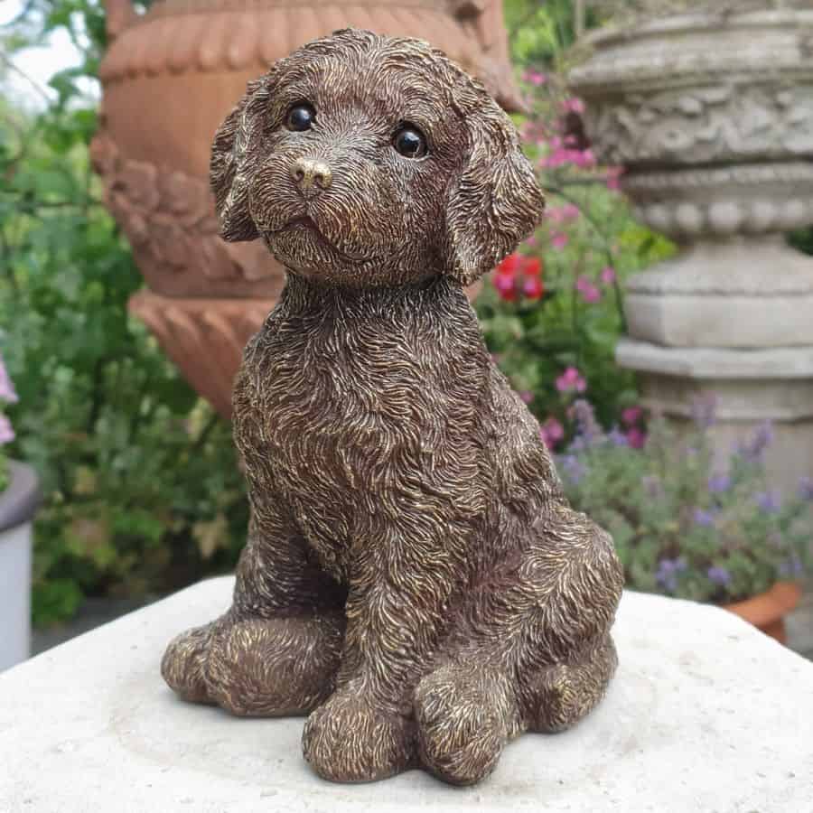A puppy dog with adorable eyes gazing lovingly. Situated in a British garden with flower pots in background
