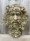 A Greenman face stone statue with long, untamed hair adorned with grapes and horns placed upon his head. Situated on the fence of a UK Garden