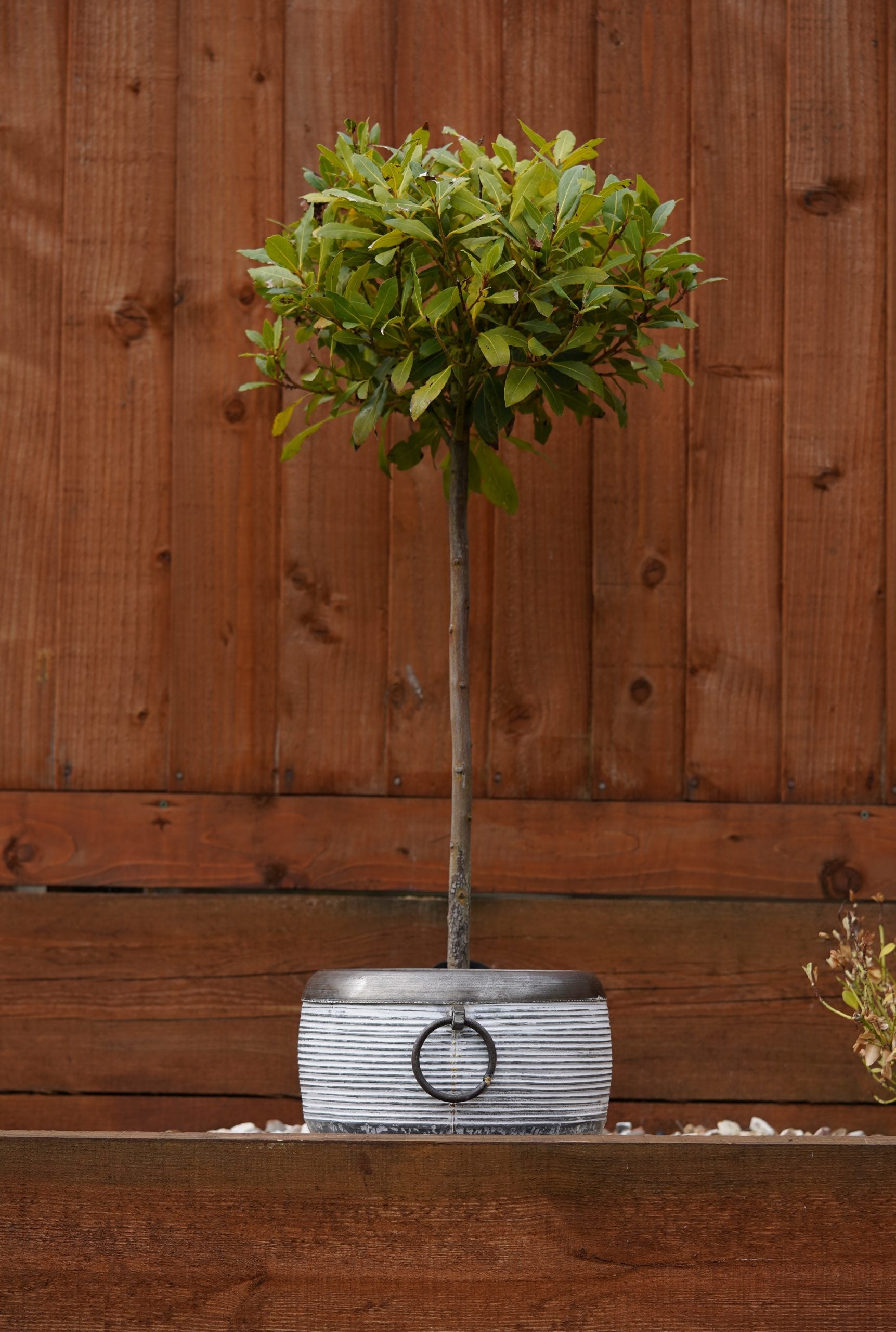 Galvanised Metal Olam Planters