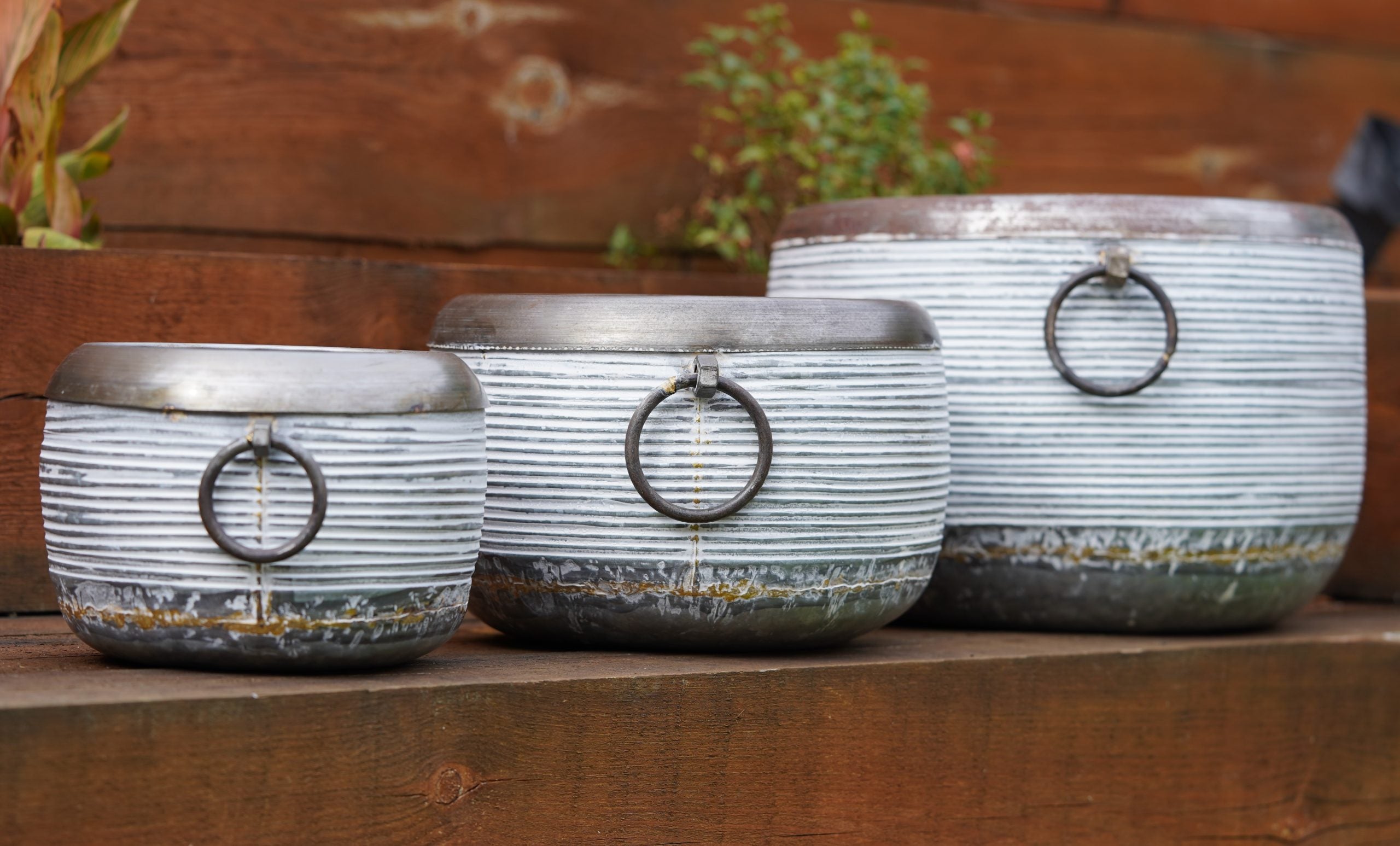 Galvanised Metal Olam Planters