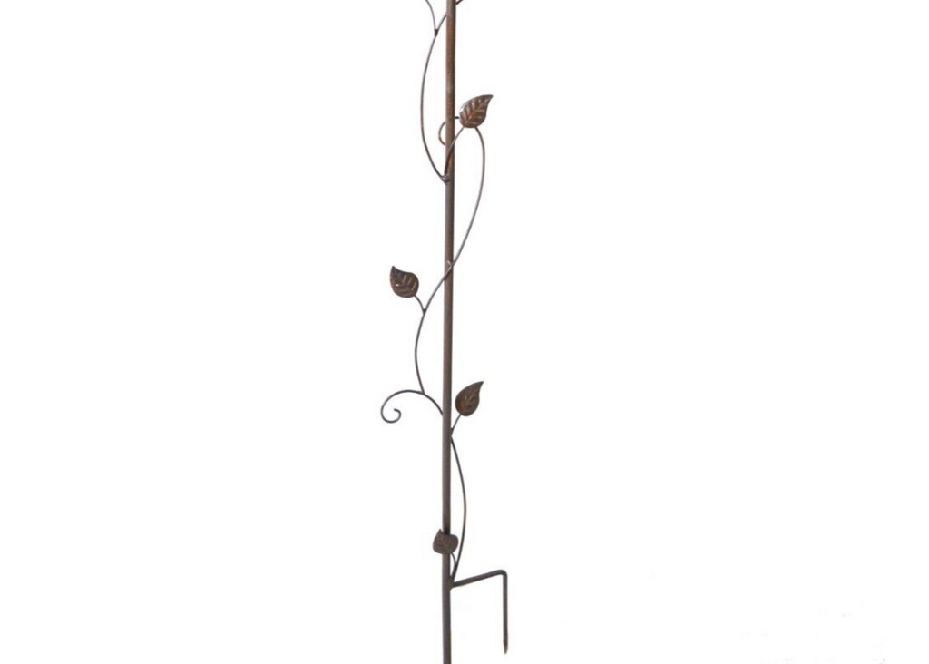 Watering Can Bird Feeder