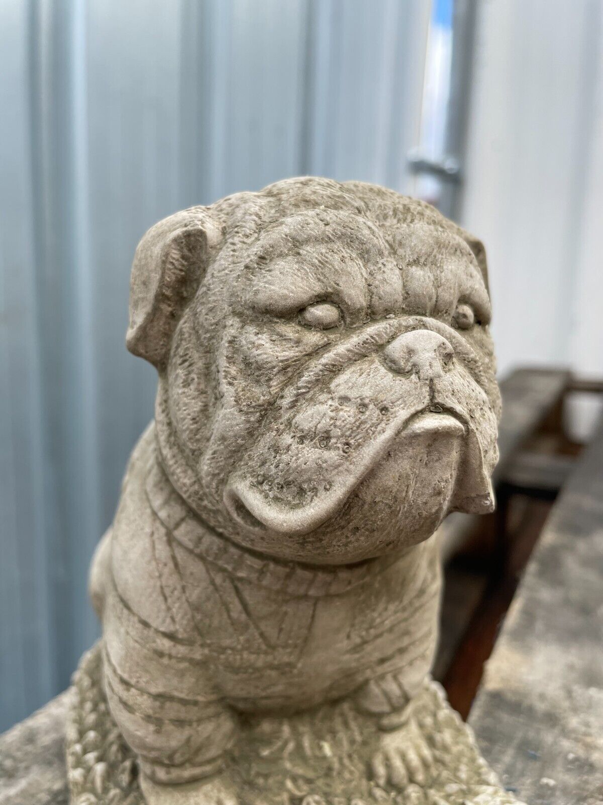 British Bulldog Stone Statue