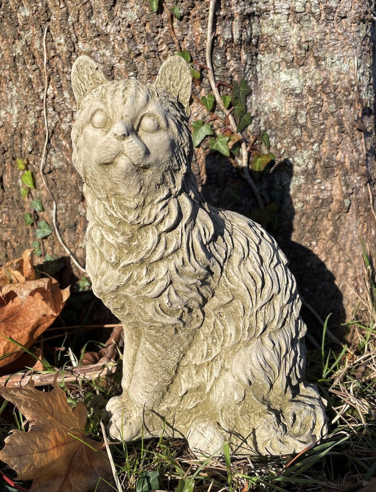 A wide-eyed and curious cat with detailed fur effect. Situated in a British garden with a tree in background