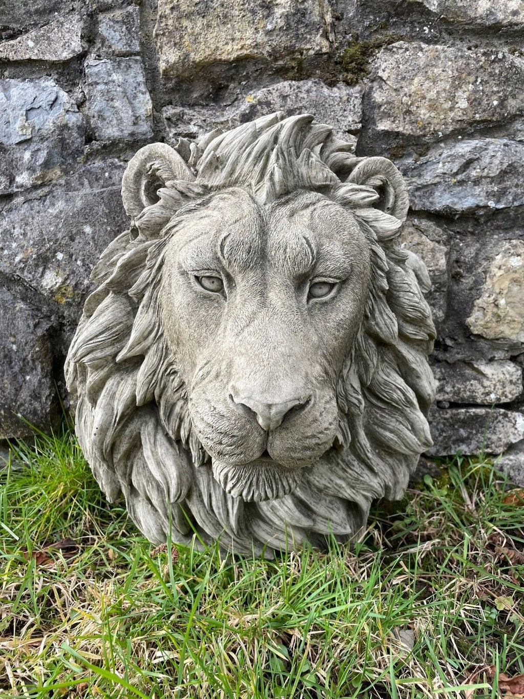 A lions head stone statue in grey with flowing mane and wise eyes. Situated in the grass, against a wall of a British Garden