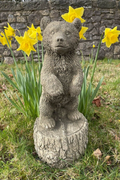 A sweet bear cub grey statue standing inquisitively on hind legs, perched on a tree-stump. Situated amongst the daffodils of a British Garden
