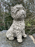 A lovely, detailed Westie dog with stoic face. Situated on the wall of a British garden with green foliage in the background