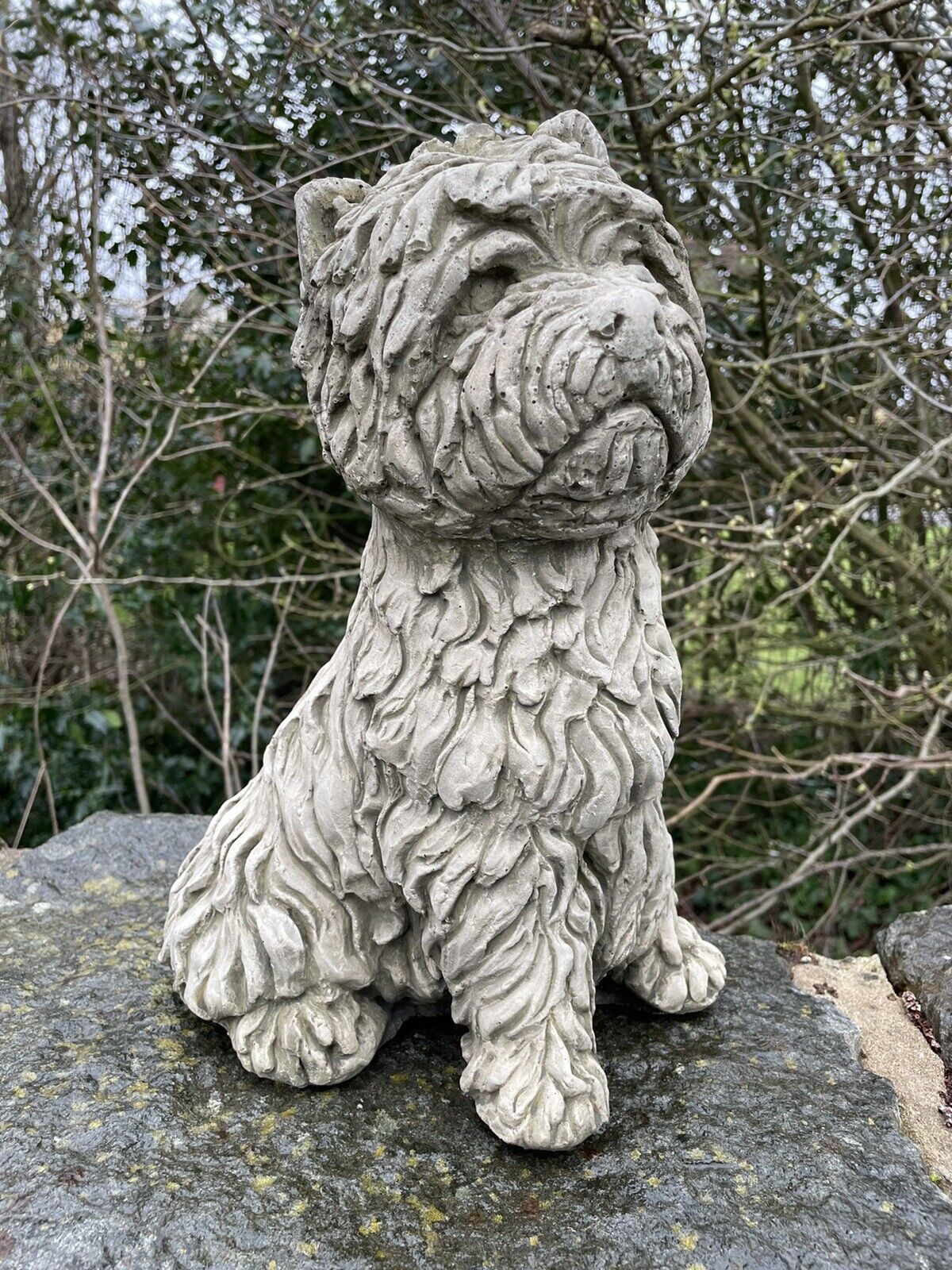 A lovely, detailed Westie dog with stoic face. Situated on the wall of a British garden with green foliage in the background