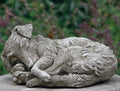 a sleeping bored collie puppy dog curled up an peaceful with detailed fur. Situated in a British garden with green and purple foliage in the background