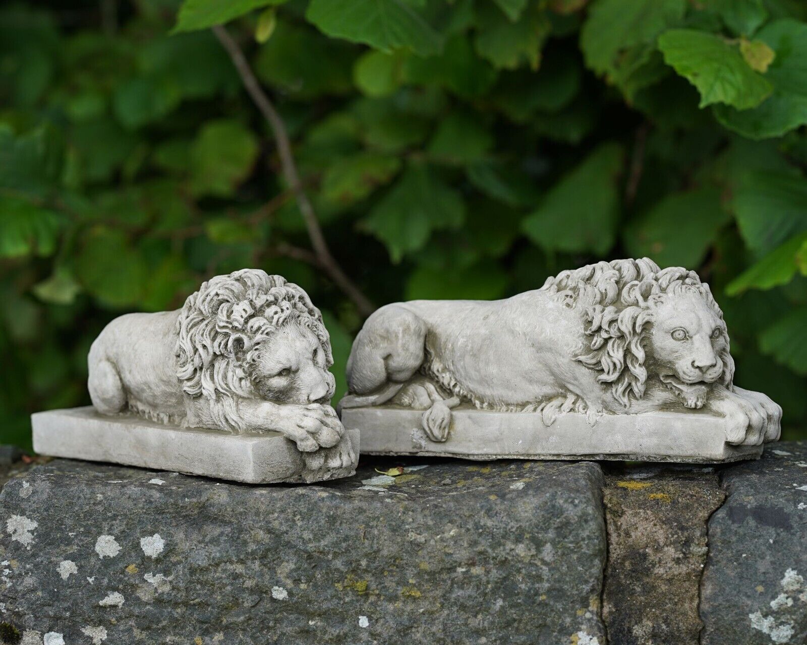 A pair of lions in Venetian style, situated on the garden wall of a British garden with green foliage in the background