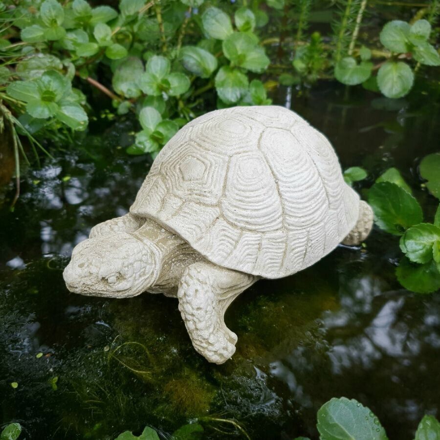 Turtle Stone Statue
