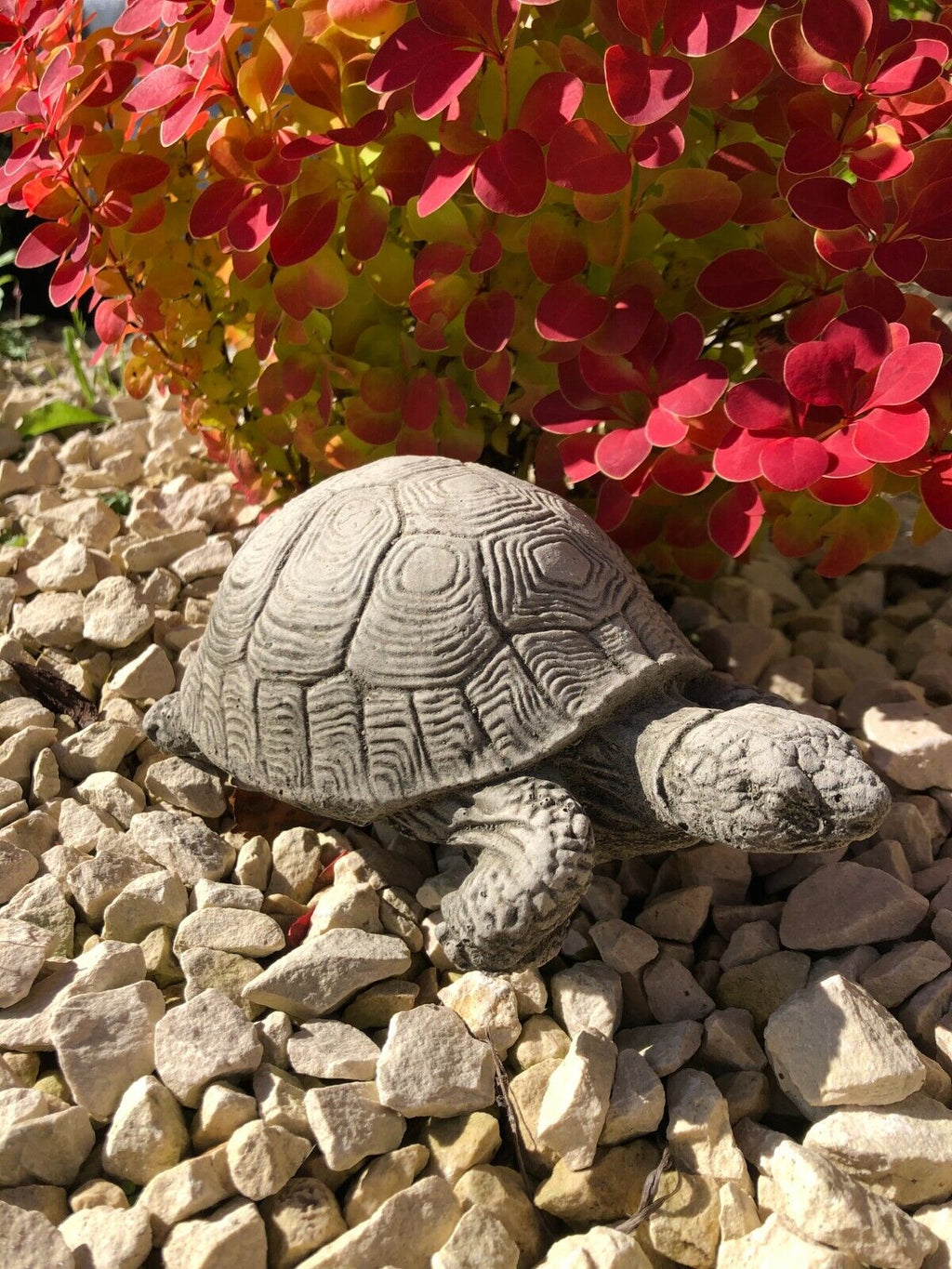 Turtle Stone Statue