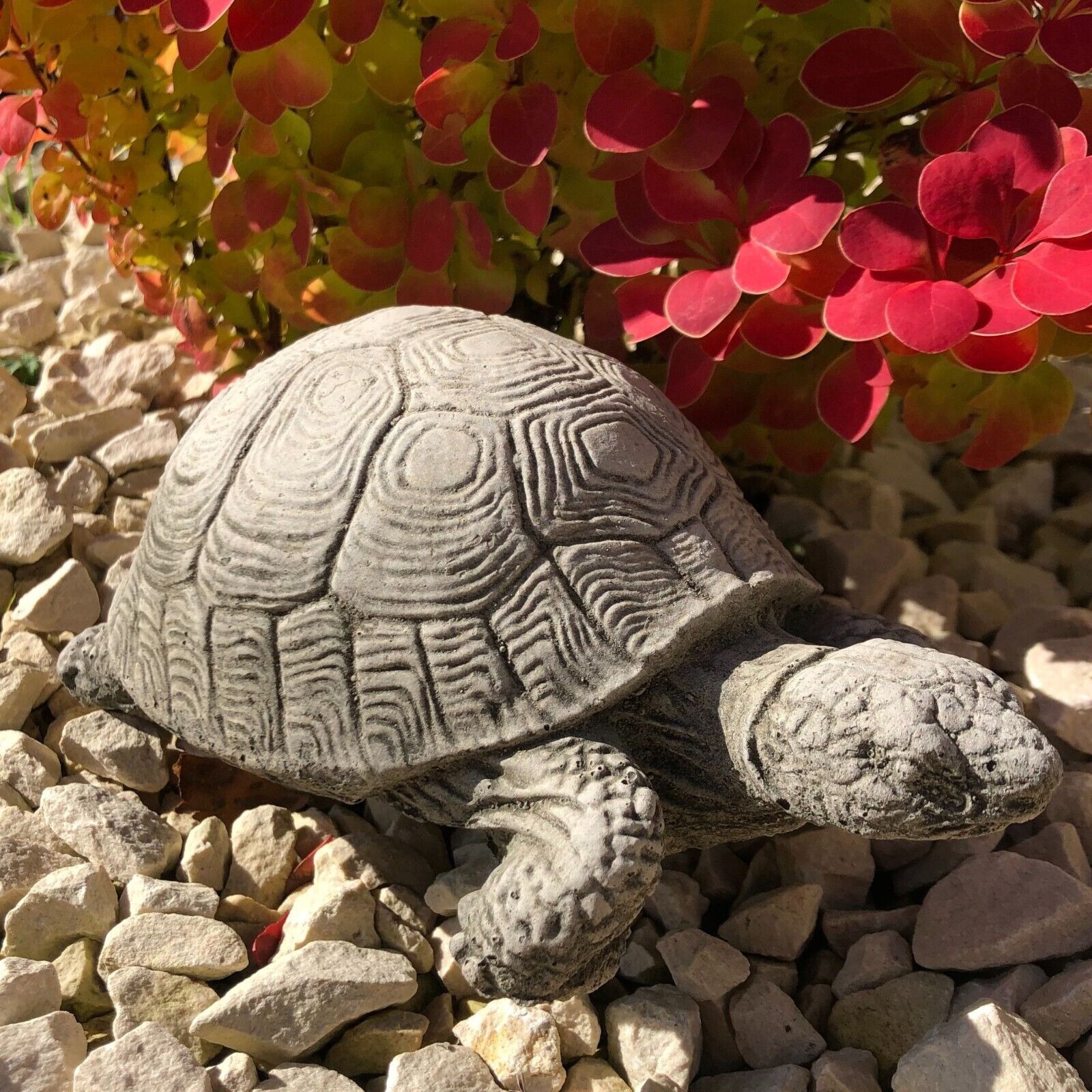 Turtle Stone Statue