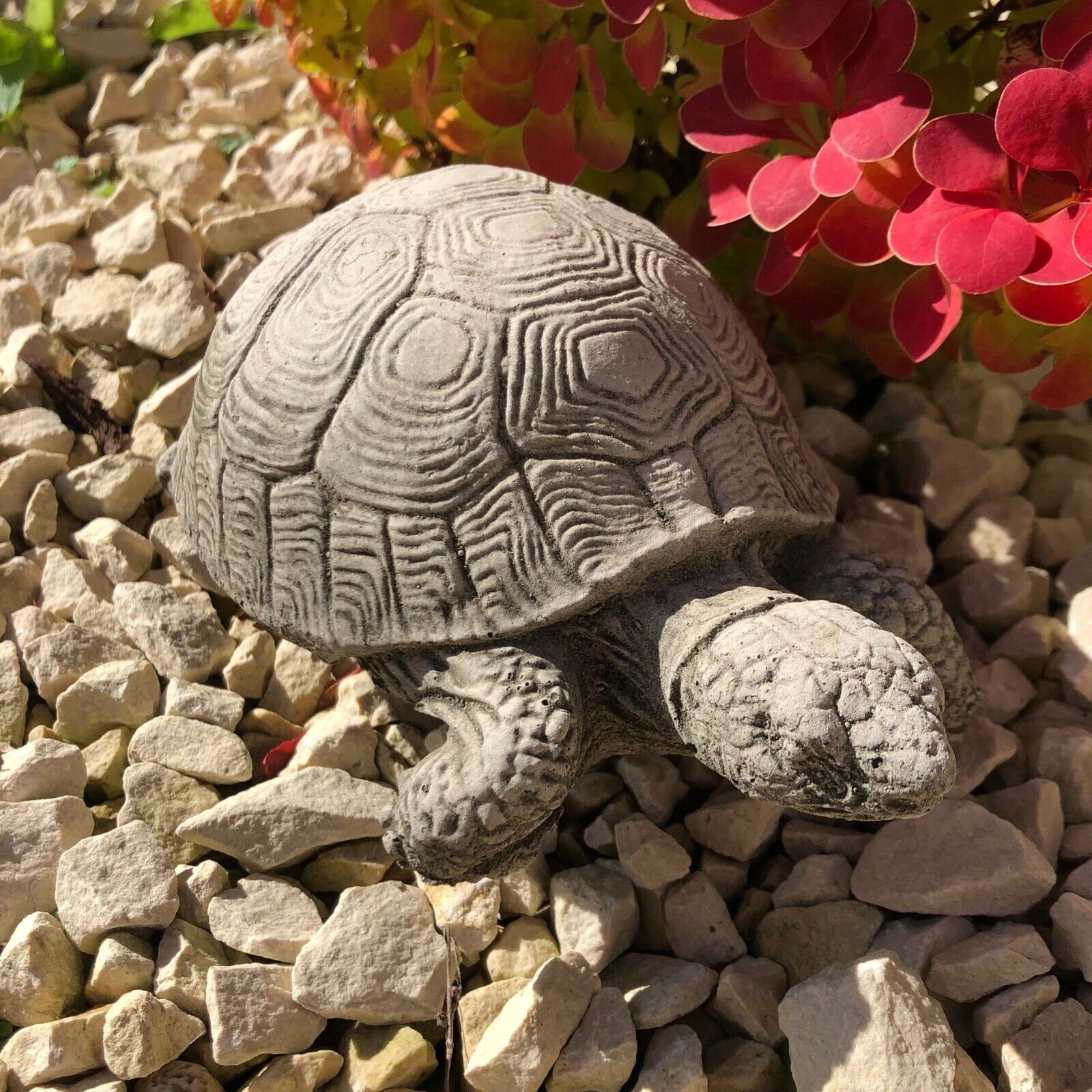 Turtle Stone Statue