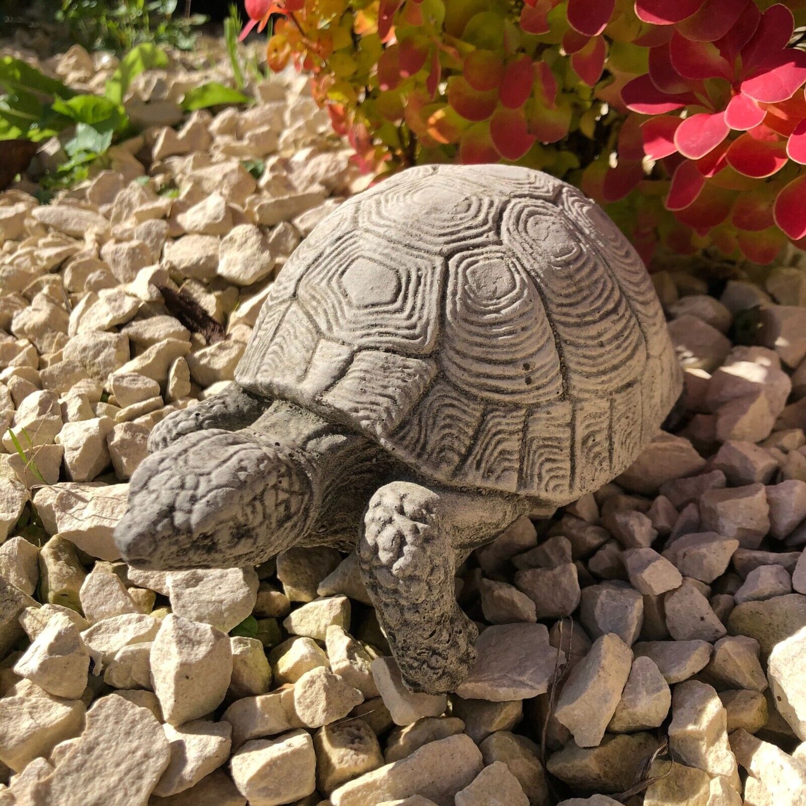 Turtle Stone Statue