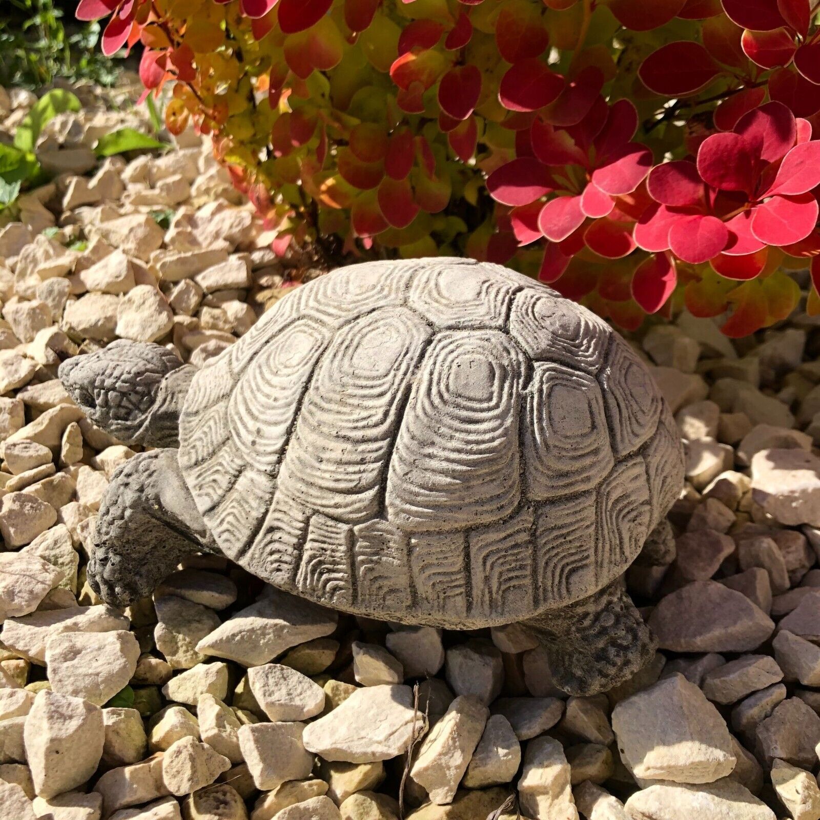Turtle Stone Statue
