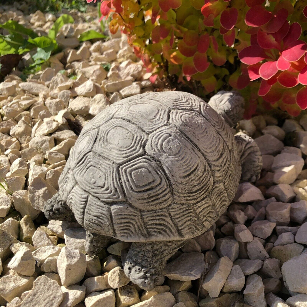 Turtle Stone Statue